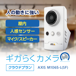 Axis M1065-L ネットワークカメラ-