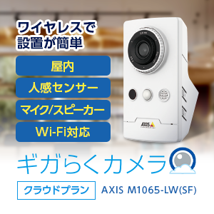 ギガらくカメラ AXIS M1065-L(SF)｜防犯・監視カメラ｜ビジネス向け 